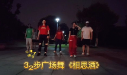 广 场舞视频,乐享人生——广场舞视频魅力解析